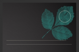 线各树叶纹理菜单海报背景