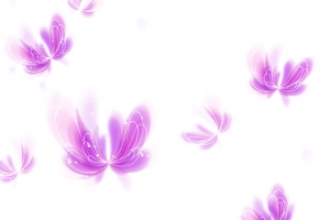 装饰花朵