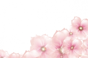 花卉