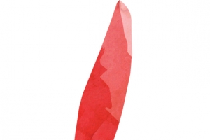 彩条