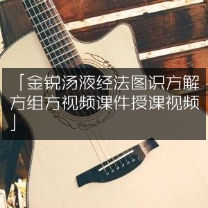 金锐汤液经法图解与组方教学视频+配套课件