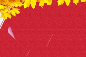 秋季黄树叶磨砂质感红色banner