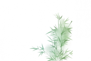绿色竹子