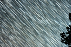 星空 海星 条纹 树木 剪影 4k壁纸 3840x2160
