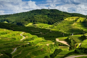 深山梯田风景