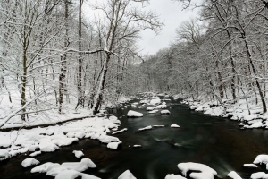 河流 雪 树 水 冬季 4k壁纸 3840x2160