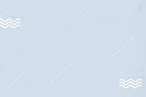 鲜花清新蓝色banner