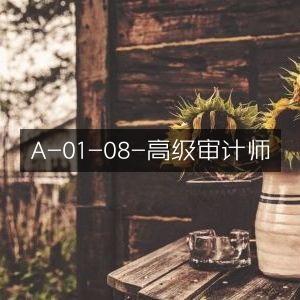 高级审计师A-01-08职位详解