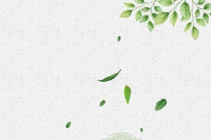 绿茶白色中国风简约大气背景