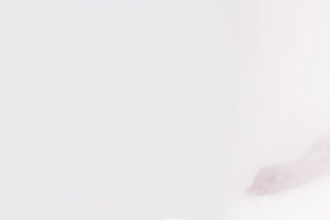 鞠婧祎白色背景唯美5760x1080三屏美女壁纸
