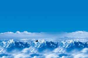 公司企业背景