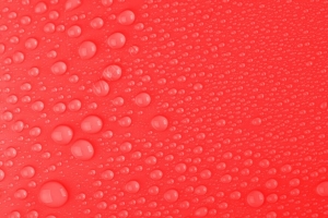 水 滴 湿 宏 红色 4k壁纸 3840x2160