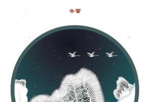 雪落枝头