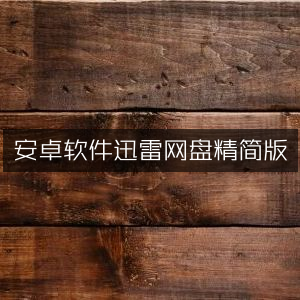 安卓精简版迅雷网盘软件