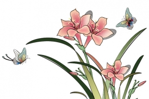 兰花矢量
