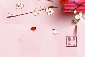 中国风粉色春节PSD分层主图背景素材