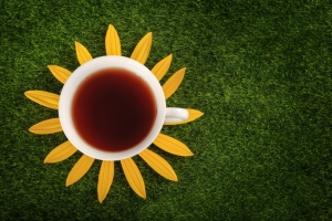 茶杯 草 花 4K图片