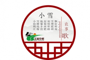 二十四节气之小雪