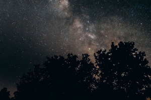 星空 银河 夜晚 树木 星星 4k壁纸 3840x2160