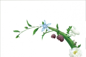 花环免扣png素材