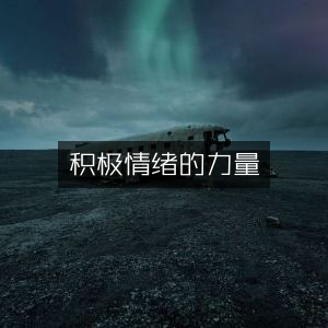 积极情绪的力量，增强个人能力的必读书籍