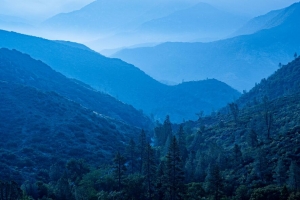 丘陵 树木 森林 自然 景观 4k壁纸 3840x2160