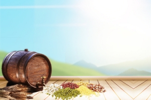 稻谷粗粮简约蓝色banner