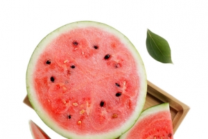 夏天 插画 西瓜大暑 小暑 处暑