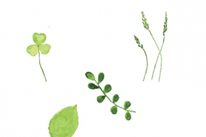 漂浮绿叶免抠素材