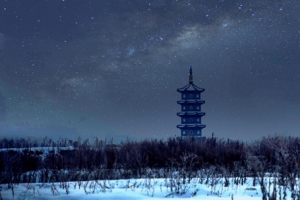 冬季雪夜塔下的树林海报背景