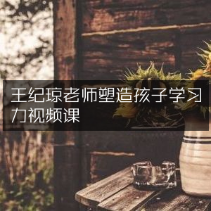 王纪琼老师，打造孩子卓越学习力的视频课程