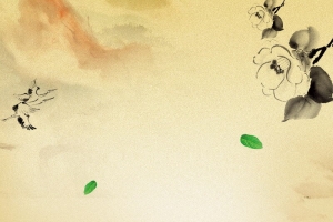 中医珍品三七中药