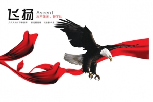 老鹰飘带