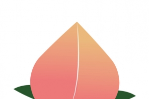 矢量艺术水果桃子