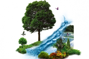 风景