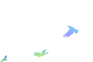 彩色飞鸟漂浮