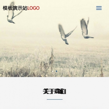 高端企业定制 | 帝国CMS自适应HTML5整站源码，跨屏体验，未来可扩展