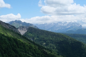 斜坡 山 树 草 4k壁纸 3840x2160