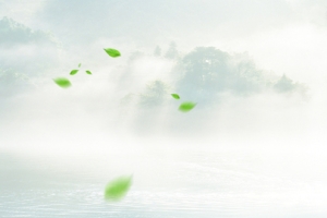 春色幽静山水海报banner