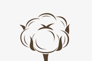 棉花