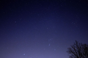 星空 树 树枝 剪影 深色 4k壁纸 3840x2160