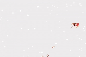 唯美二十四节气大雪