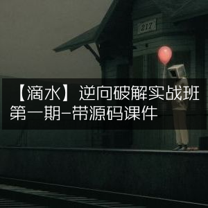 滴水逆向破解实战班首期，含源码课件