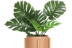盆栽绿植花架