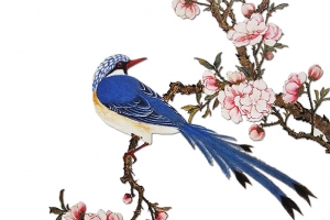 桃花蓝鸟