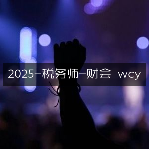 2025年税务师财会专业指南（wcy）