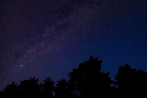 棵树 剪影 乳白色 夜晚 星星 4k壁纸 3840x2160