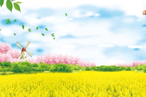 油菜花风景蓝天渐变景色蓝banner
