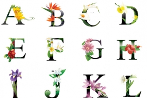 鲜花花纹字母合集