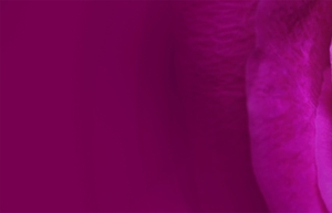 美容banner